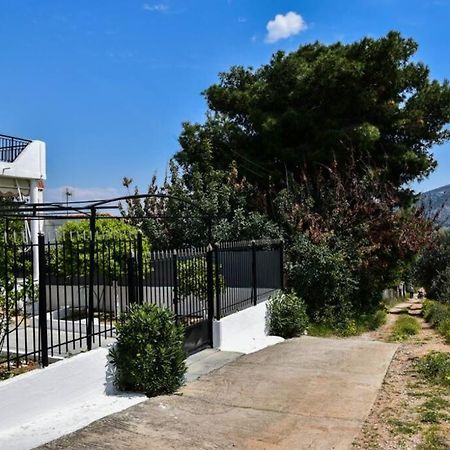 Μονοκατοικία Δίπλα Στην Θάλασσα Salamis Luaran gambar